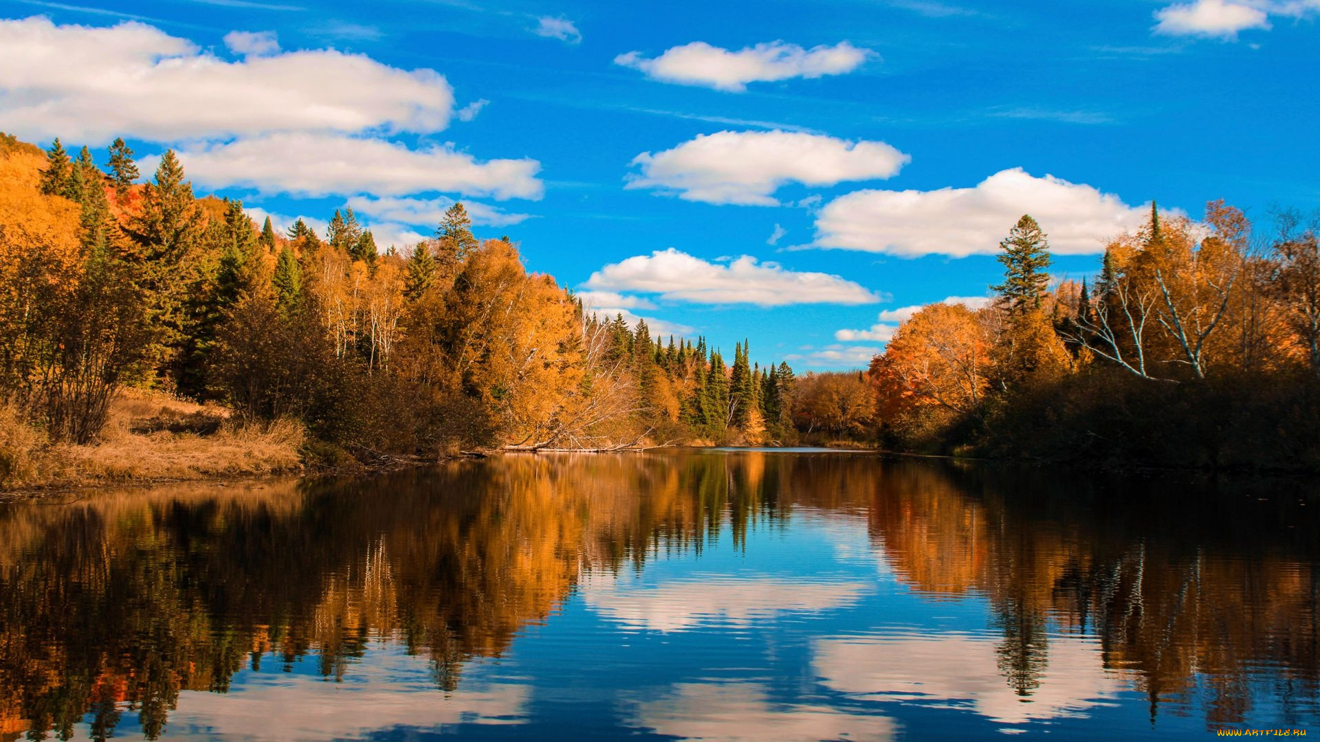 magnetawan river, ontario, , , , magnetawan, river